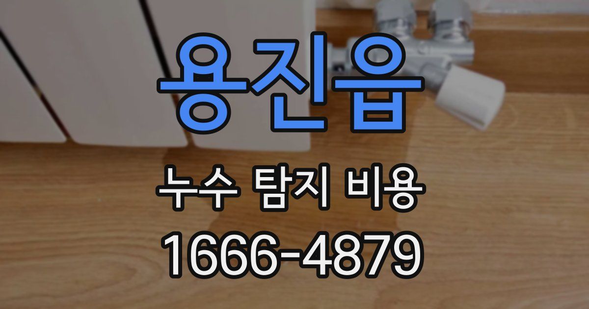 용진읍 누수 탐지 비용