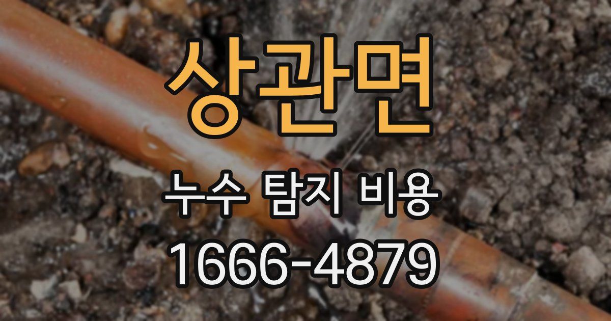 상관면 누수 탐지 비용