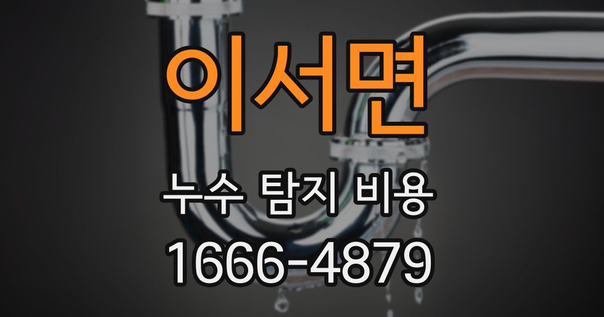 이서면 누수 탐지 비용