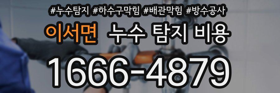 이서면 누수 탐지 비용