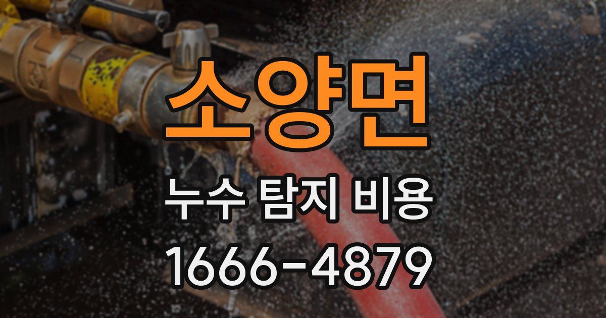 소양면 누수 탐지 비용