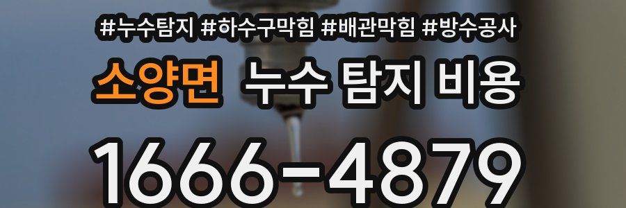 소양면 누수 탐지 비용