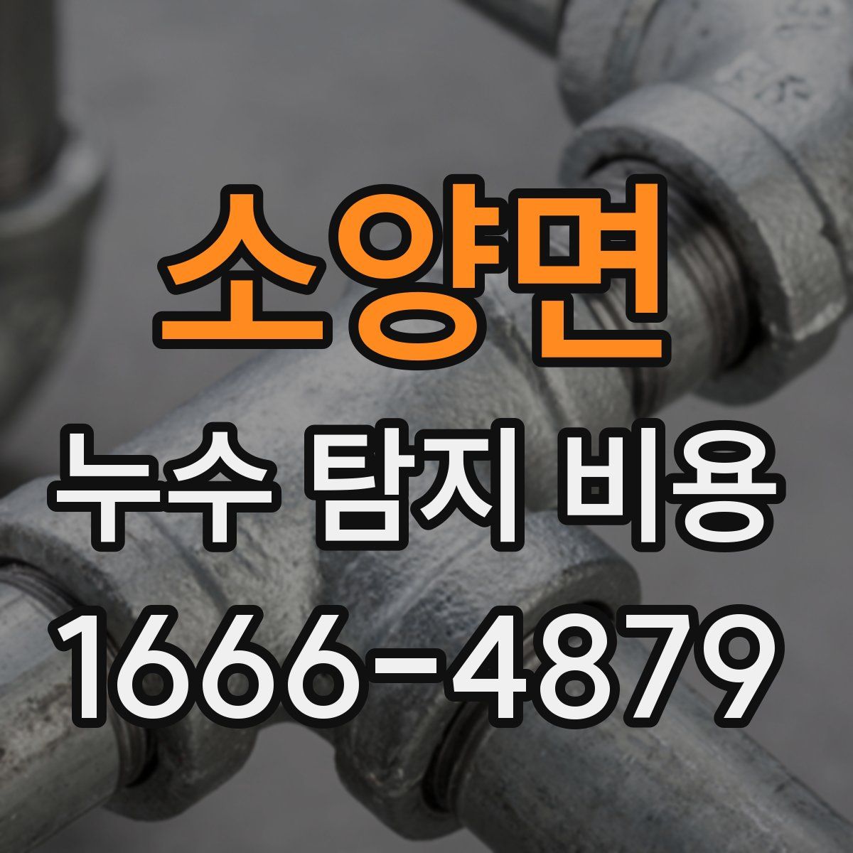소양면 누수 탐지 비용