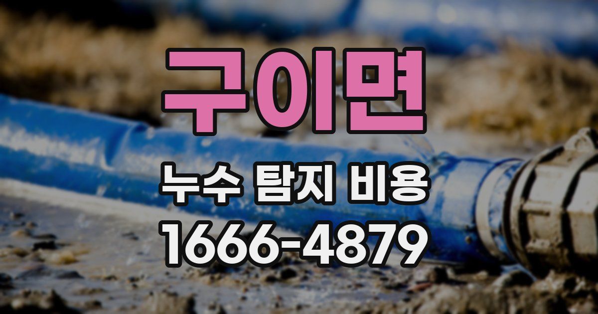 구이면 누수 탐지 비용