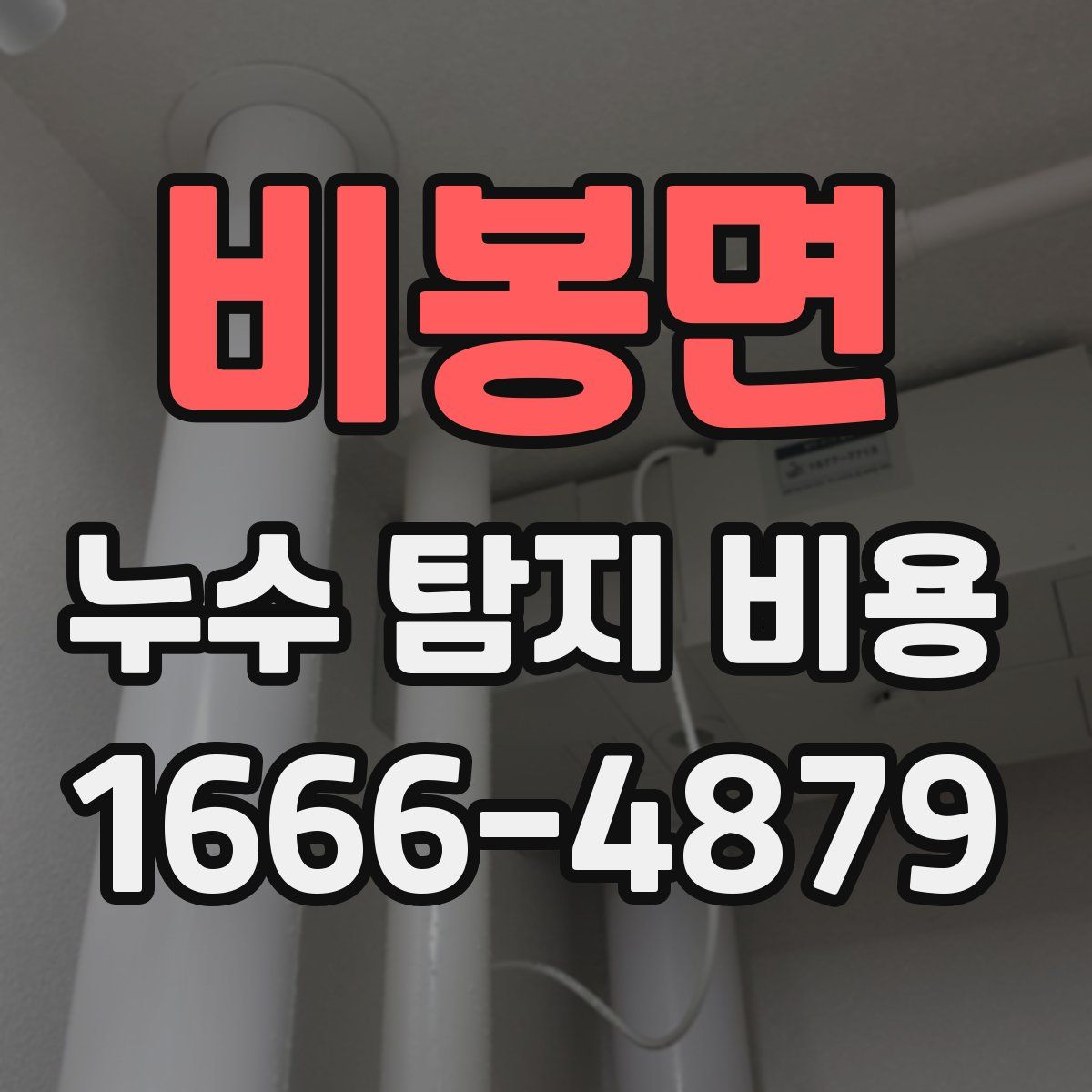 비봉면 누수 탐지 비용