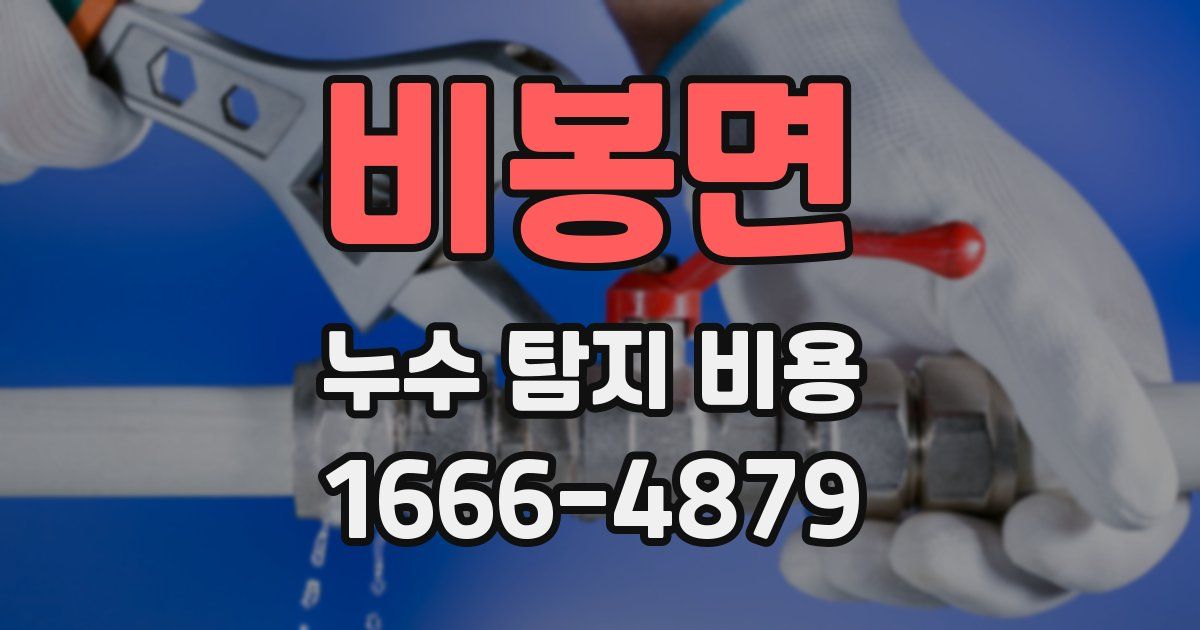 비봉면 누수 탐지 비용