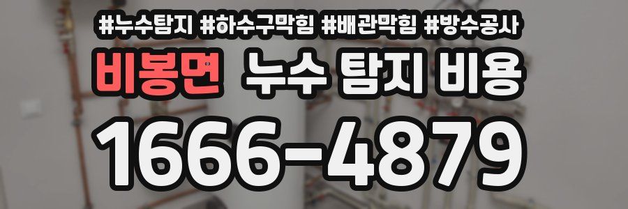 비봉면 누수 탐지 비용