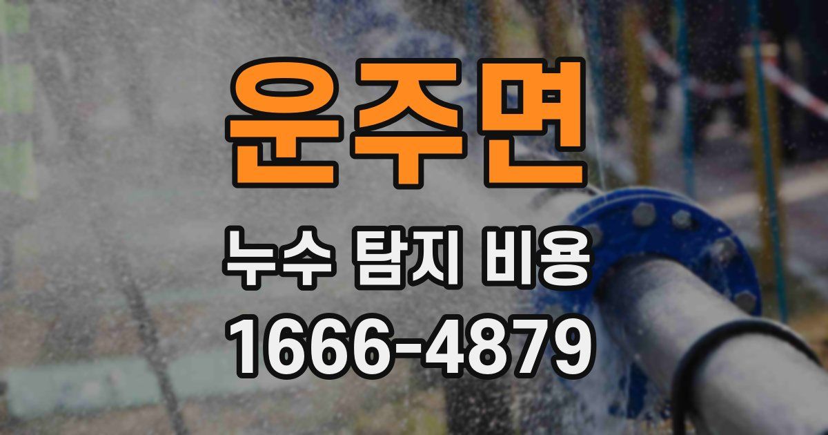 운주면 누수 탐지 비용