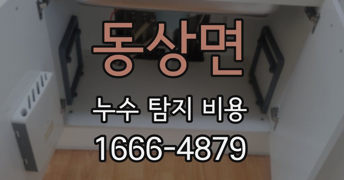 동상면 누수 탐지 비용