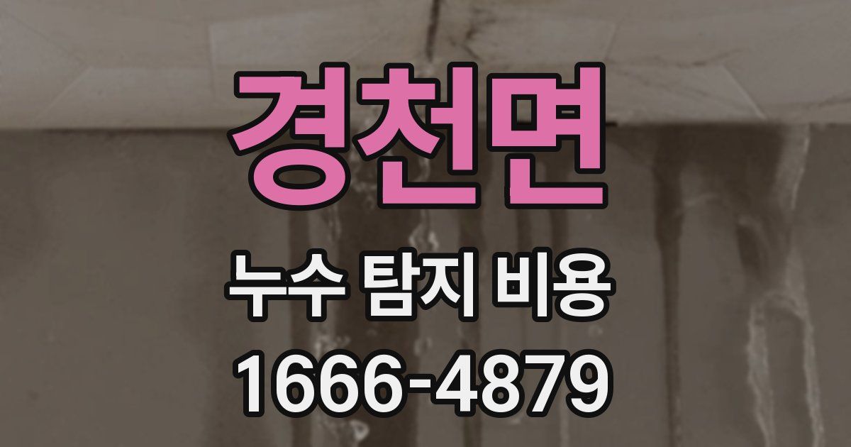 경천면 누수 탐지 비용