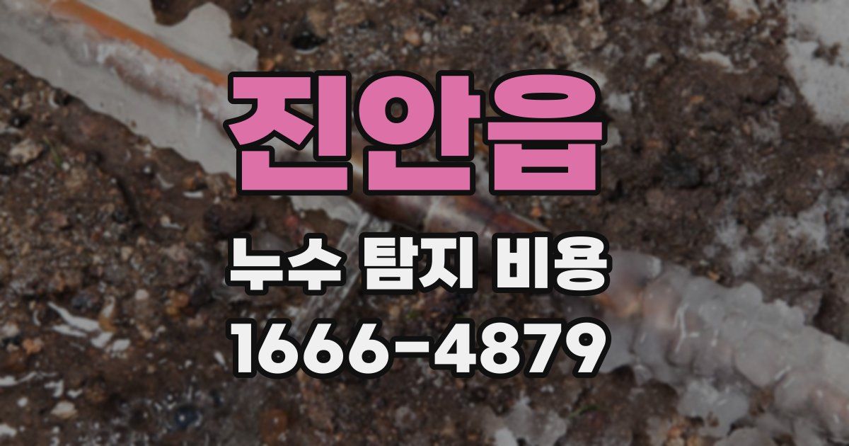 진안읍 누수 탐지 비용