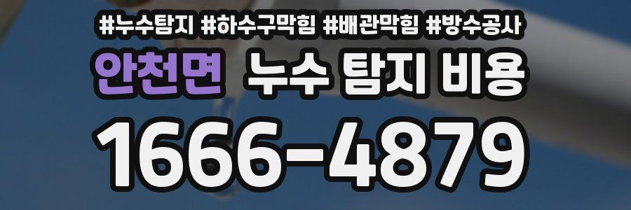 안천면 누수 탐지 비용