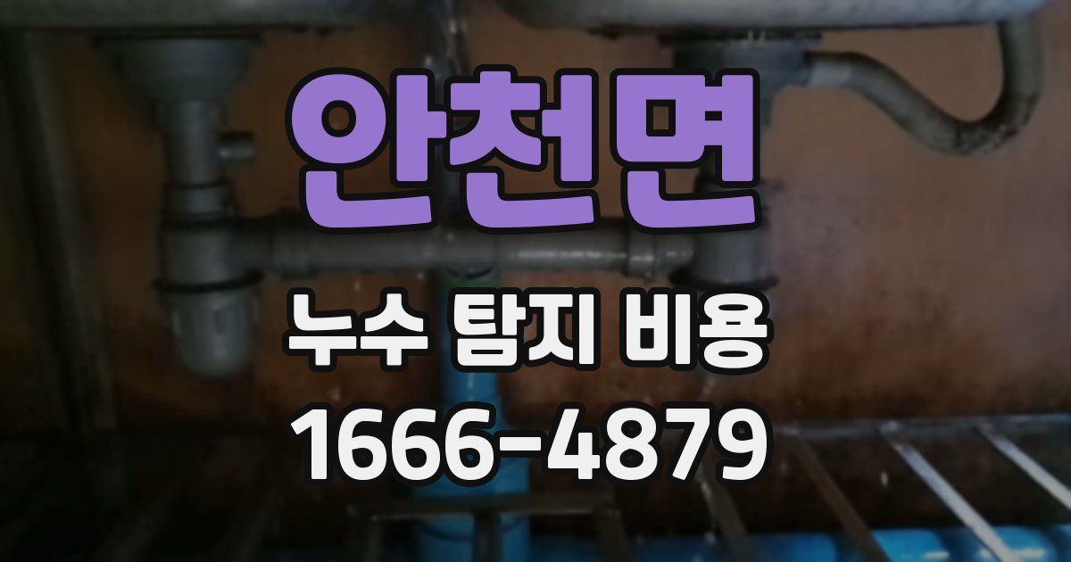 안천면 누수 탐지 비용