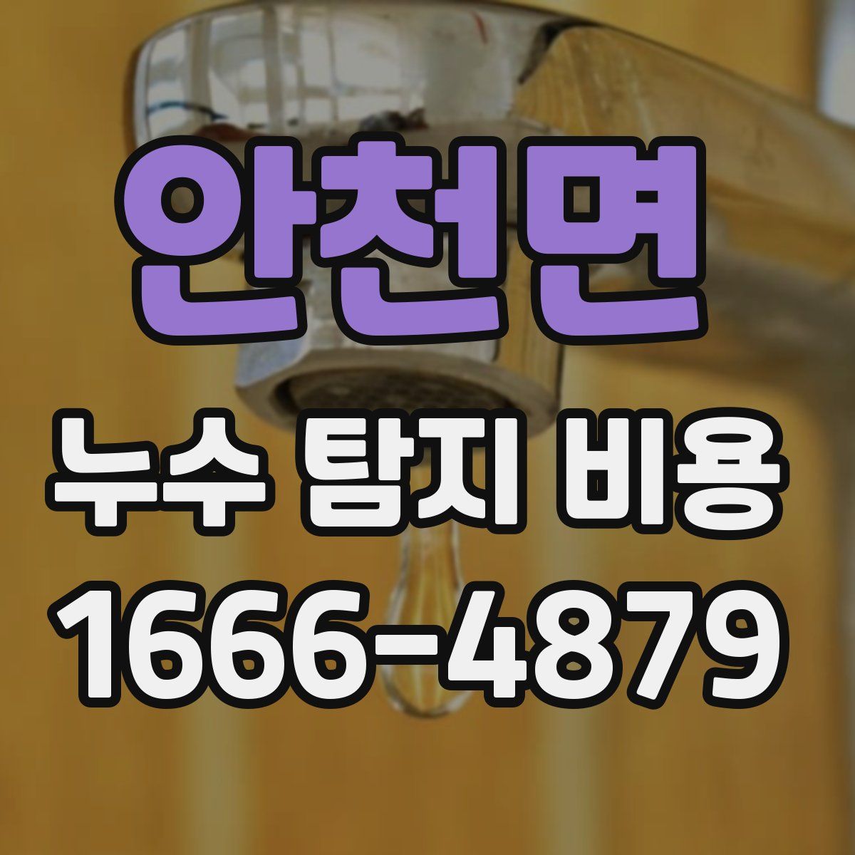 안천면 누수 탐지 비용