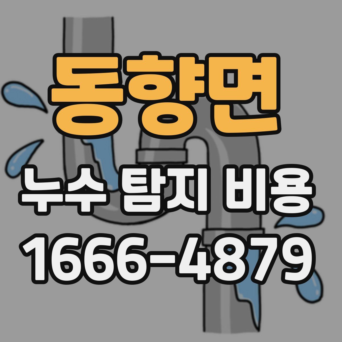 동향면 누수 탐지 비용