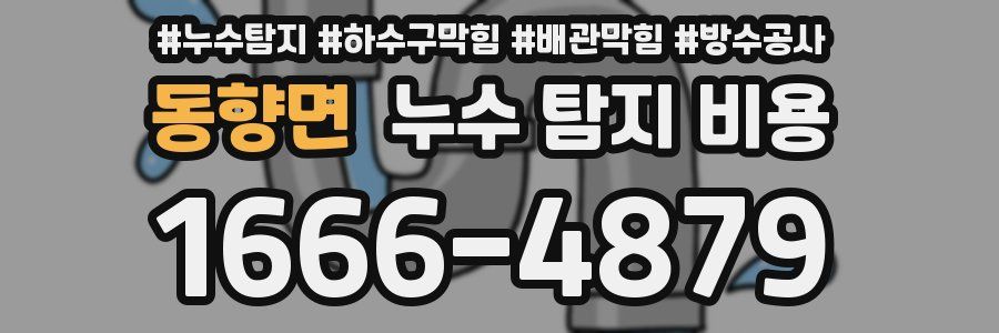 동향면 누수 탐지 비용