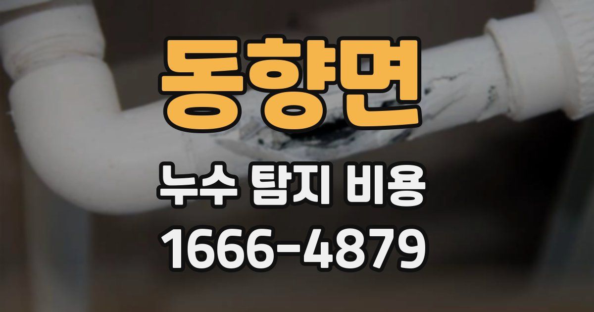 동향면 누수 탐지 비용