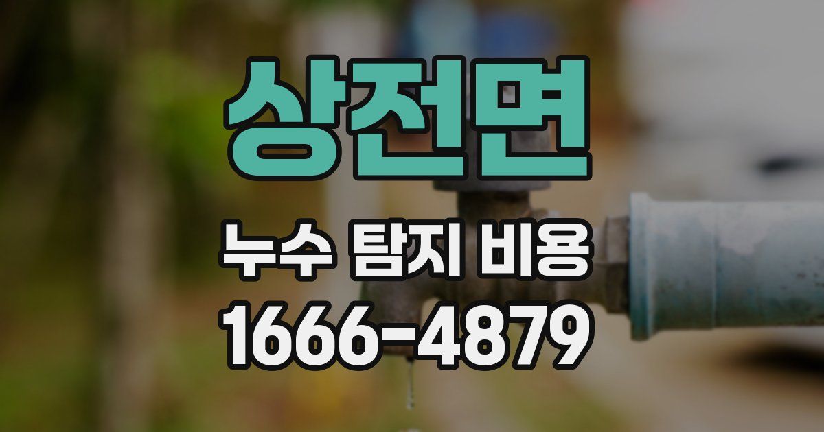 상전면 누수 탐지 비용
