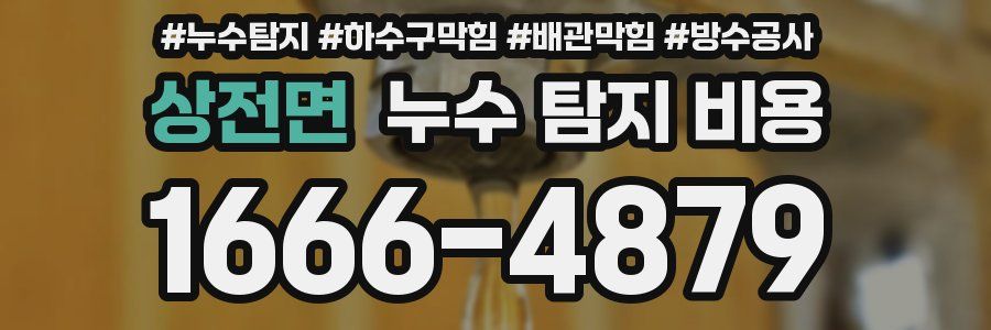 상전면 누수 탐지 비용