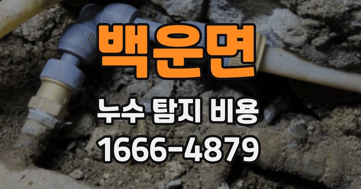 백운면 누수 탐지 비용