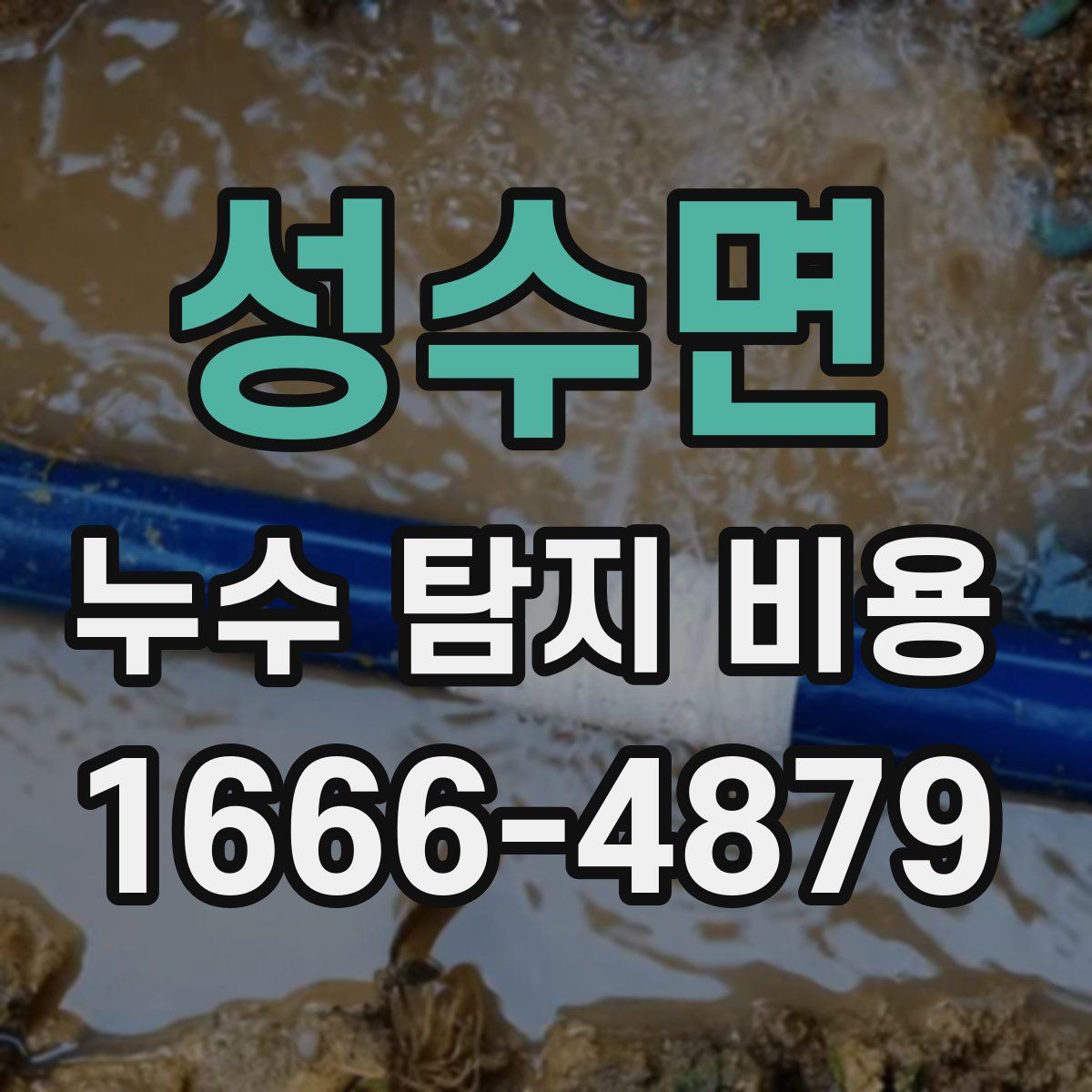 성수면 누수 탐지 비용