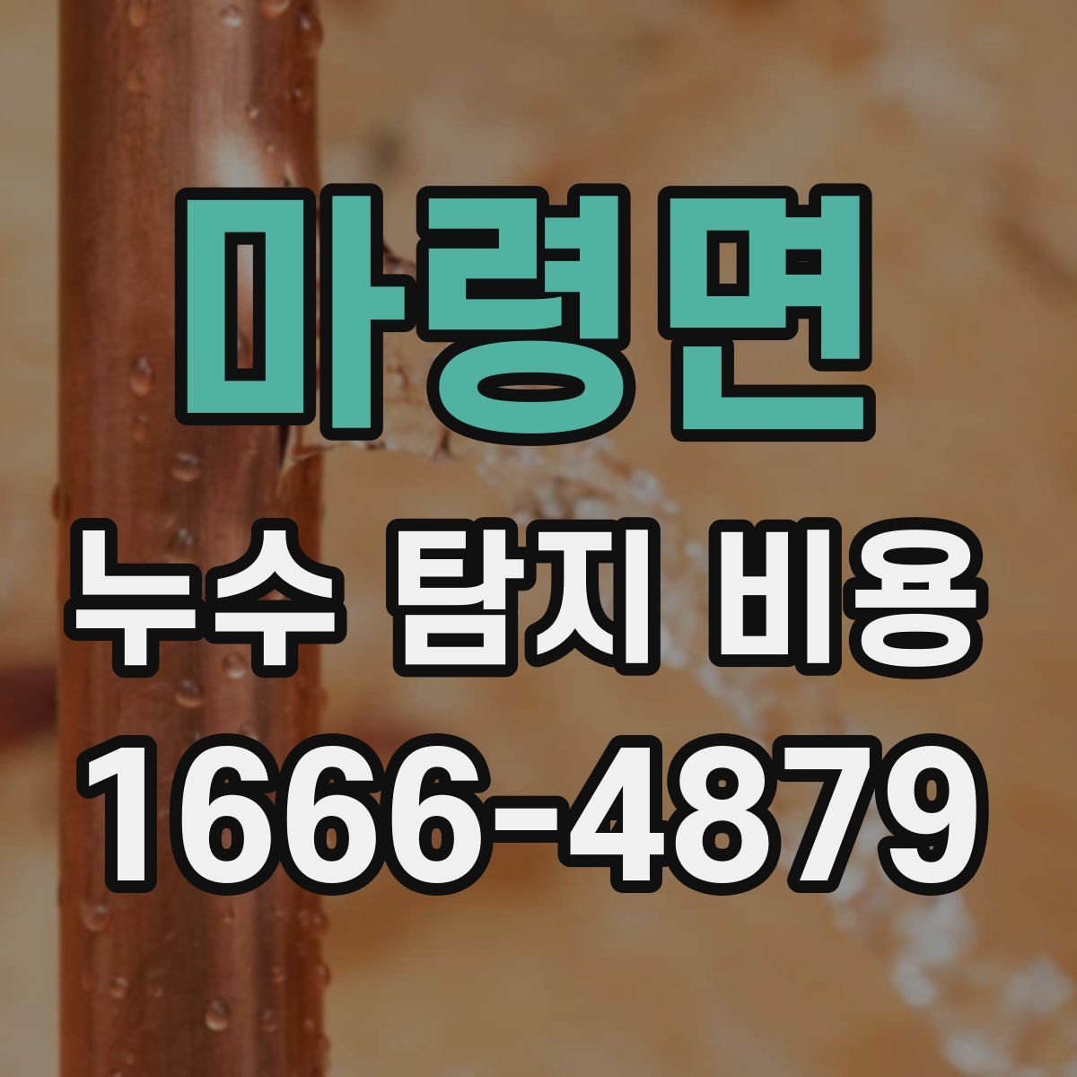 마령면 누수 탐지 비용