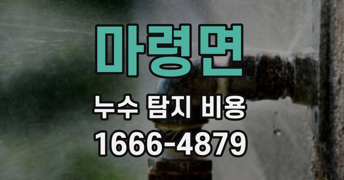 마령면 누수 탐지 비용