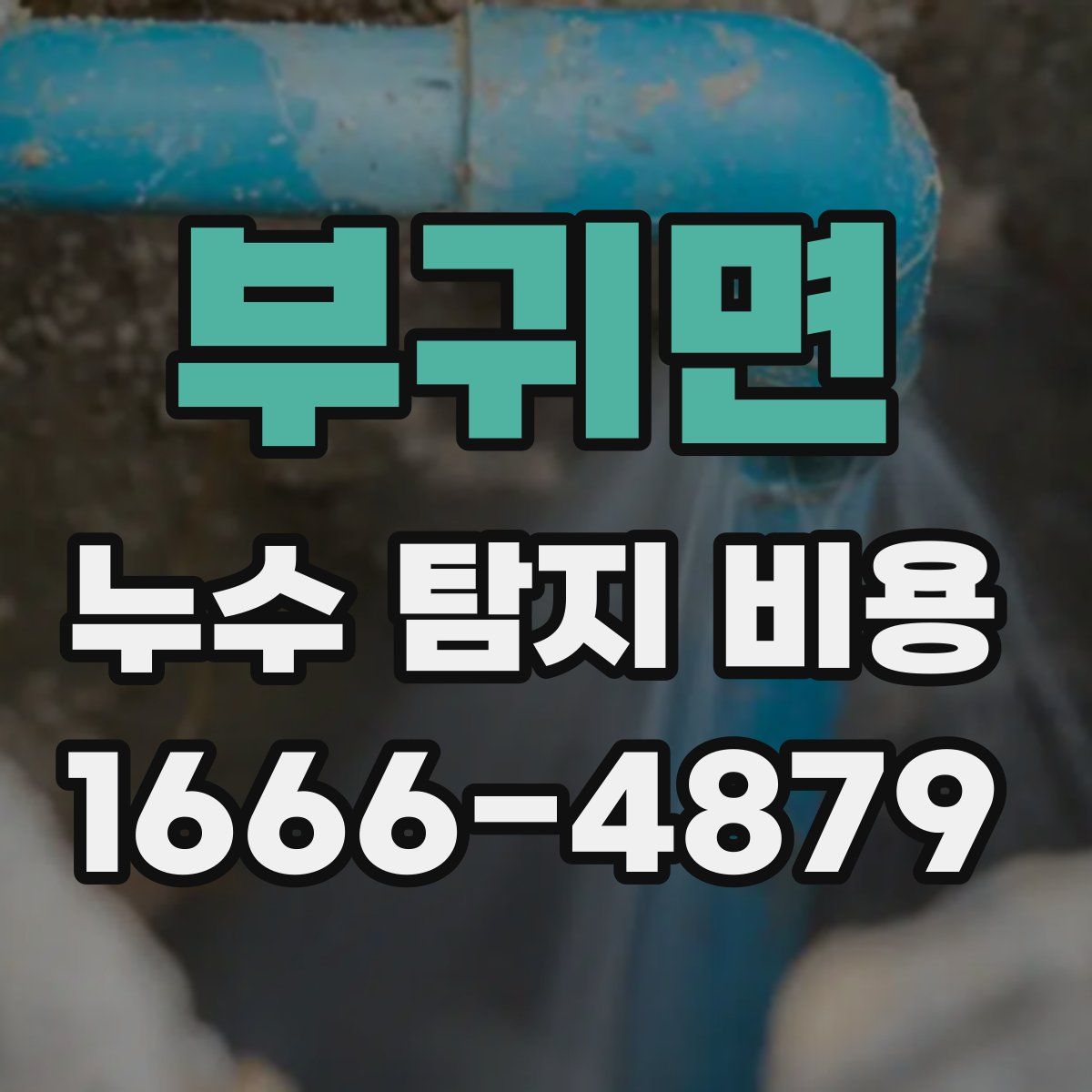 부귀면 누수 탐지 비용