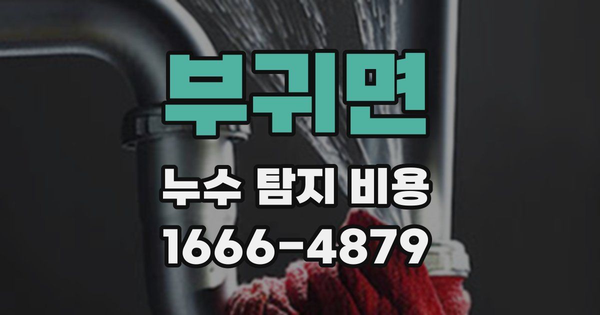 부귀면 누수 탐지 비용