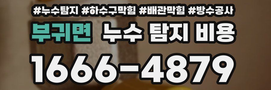 부귀면 누수 탐지 비용