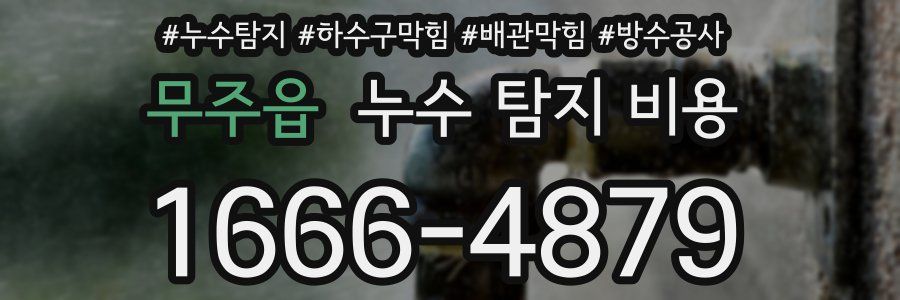 무주읍 누수 탐지 비용