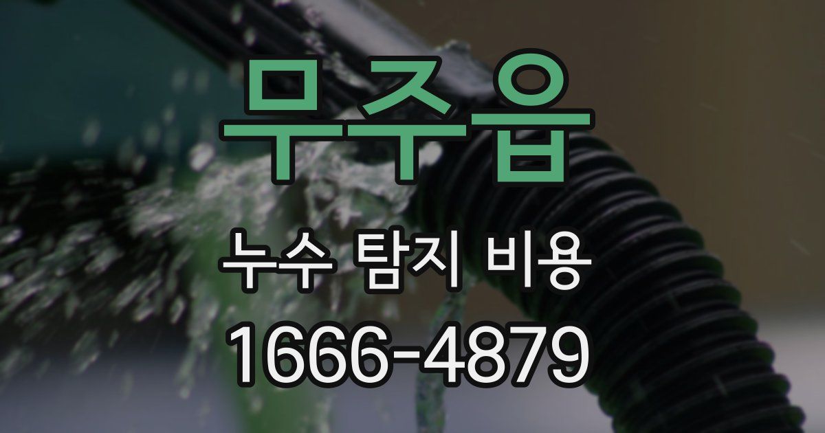 무주읍 누수 탐지 비용