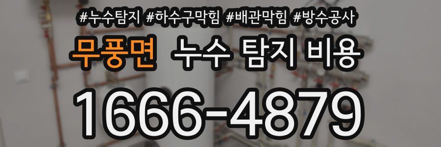 무풍면 누수 탐지 비용