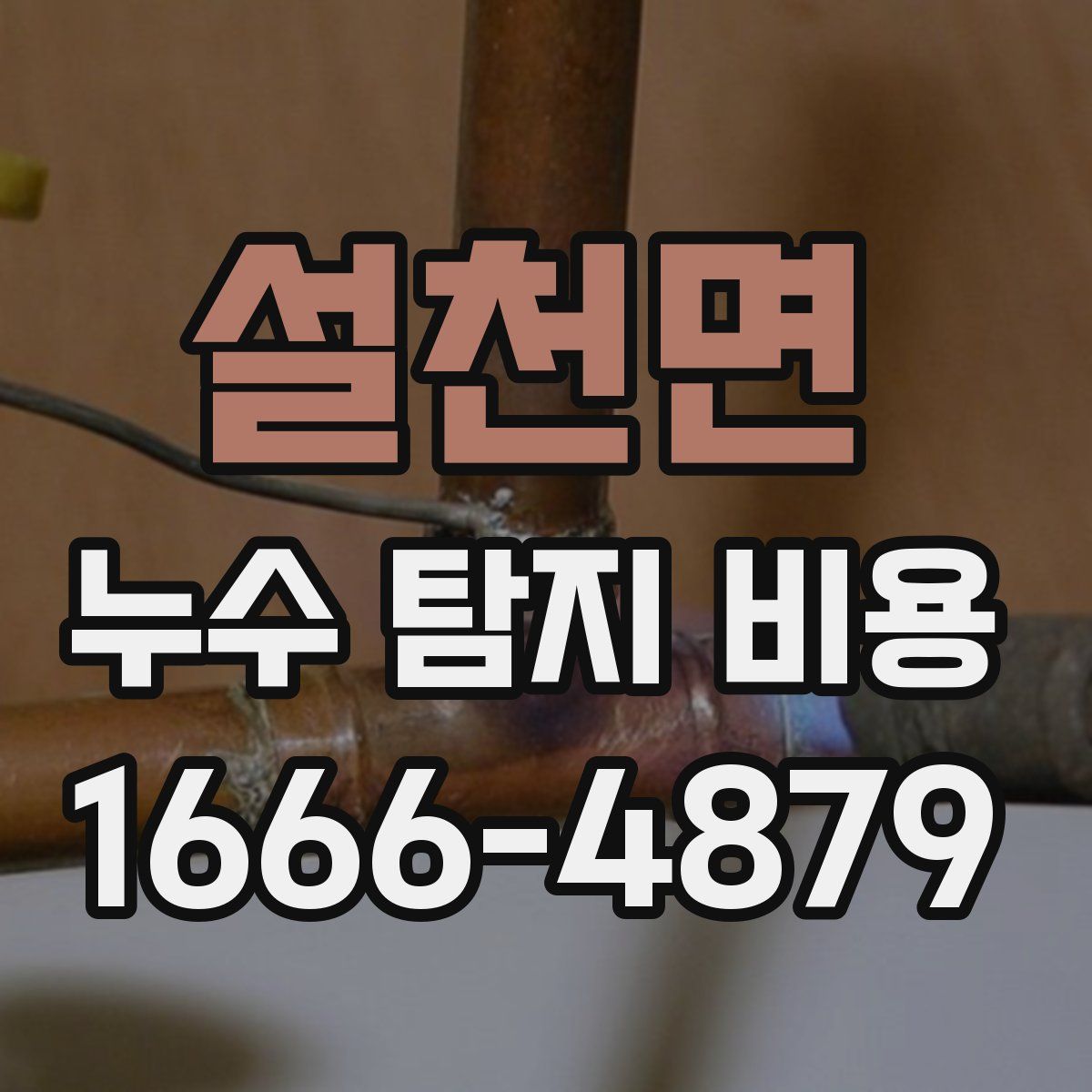 설천면 누수 탐지 비용