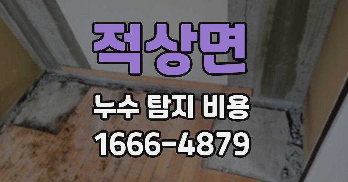 적상면 누수 탐지 비용