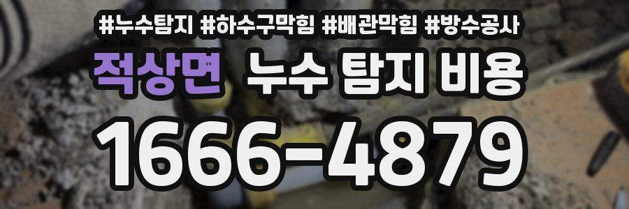 적상면 누수 탐지 비용