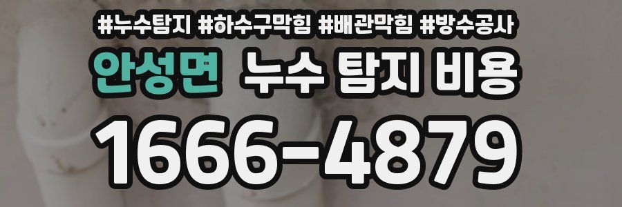 안성면 누수 탐지 비용