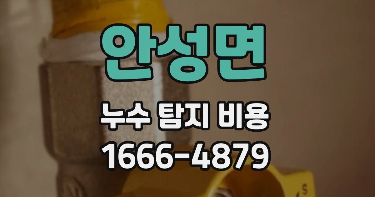 안성면 누수 탐지 비용