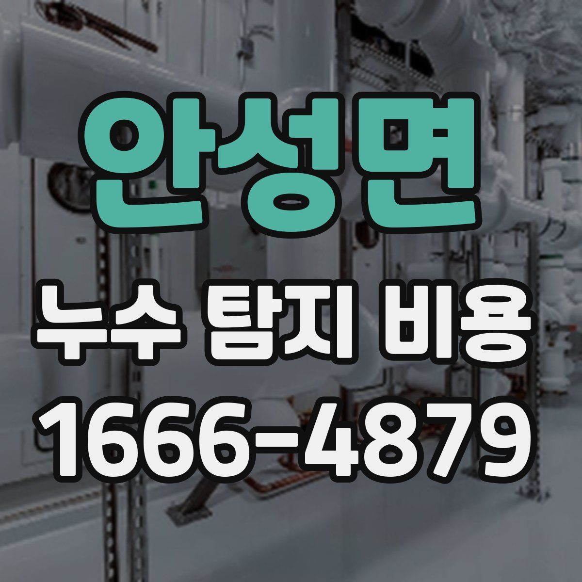 안성면 누수 탐지 비용