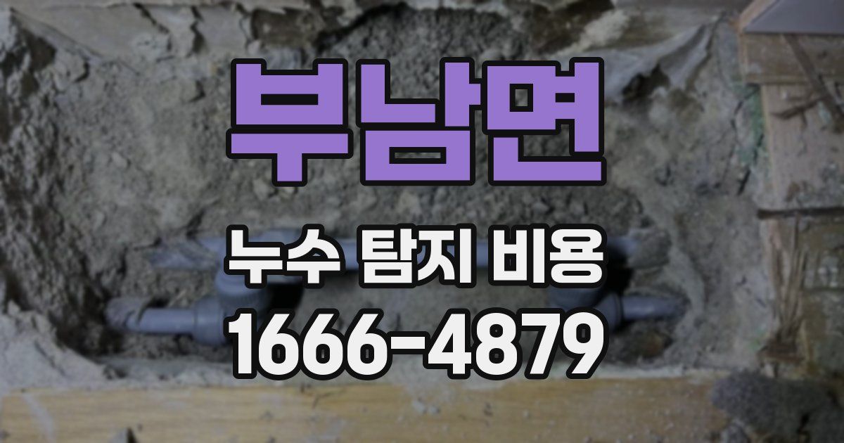 부남면 누수 탐지 비용