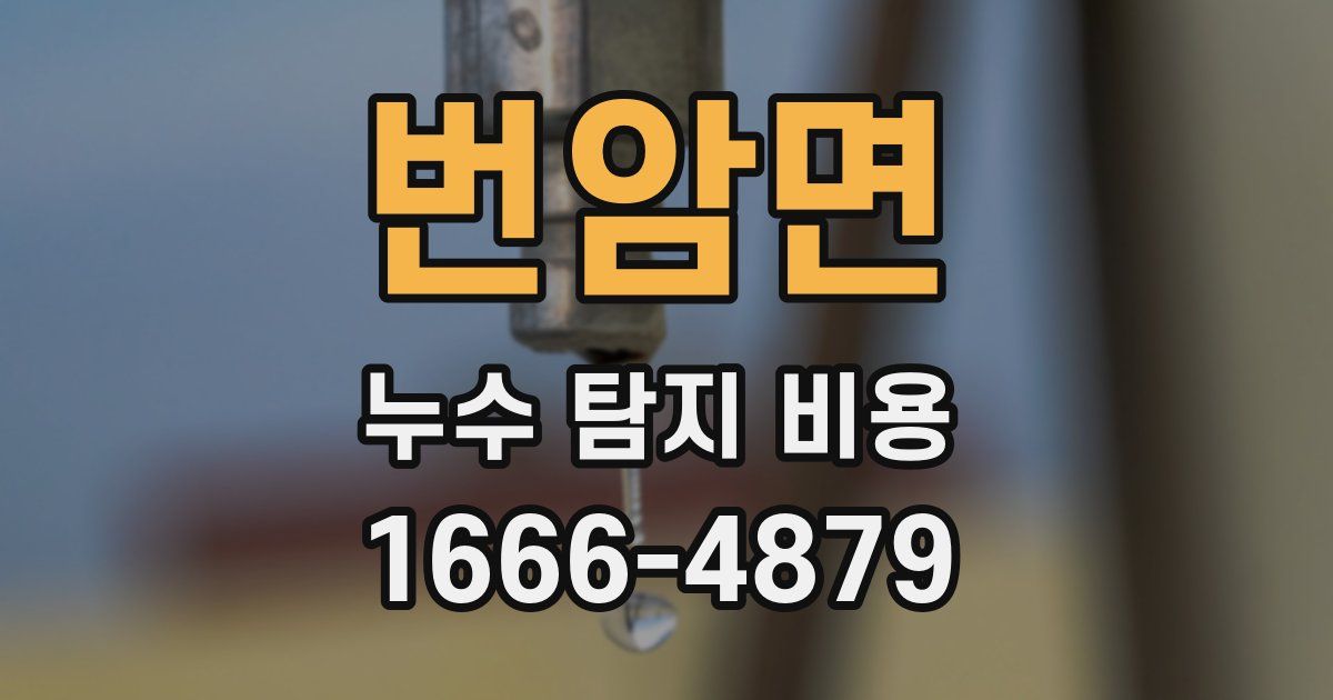 번암면 누수 탐지 비용