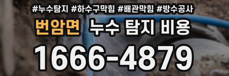 번암면 누수 탐지 비용