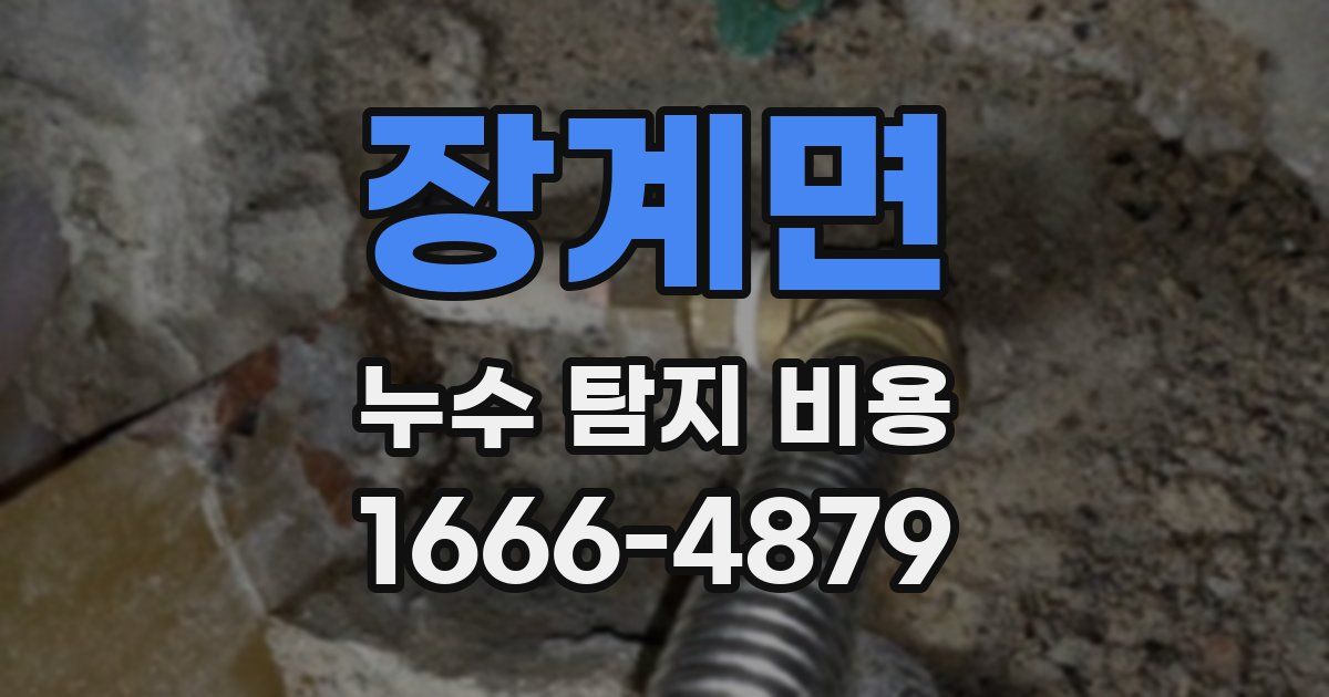 장계면 누수 탐지 비용