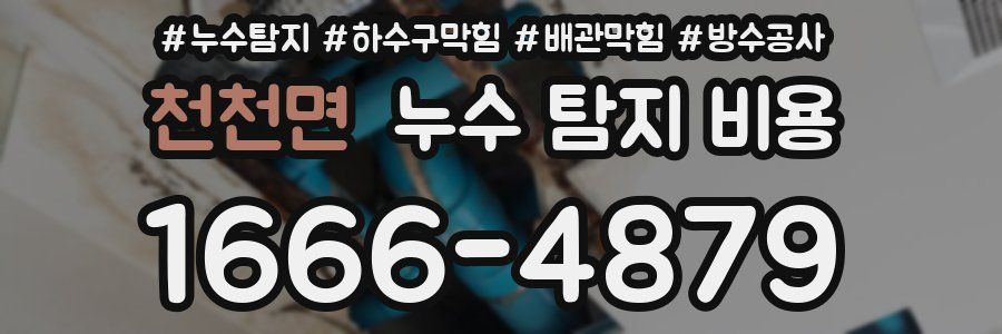 천천면 누수 탐지 비용