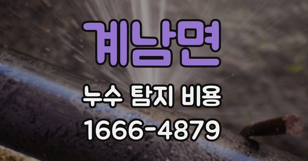 계남면 누수 탐지 비용