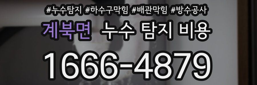 계북면 누수 탐지 비용