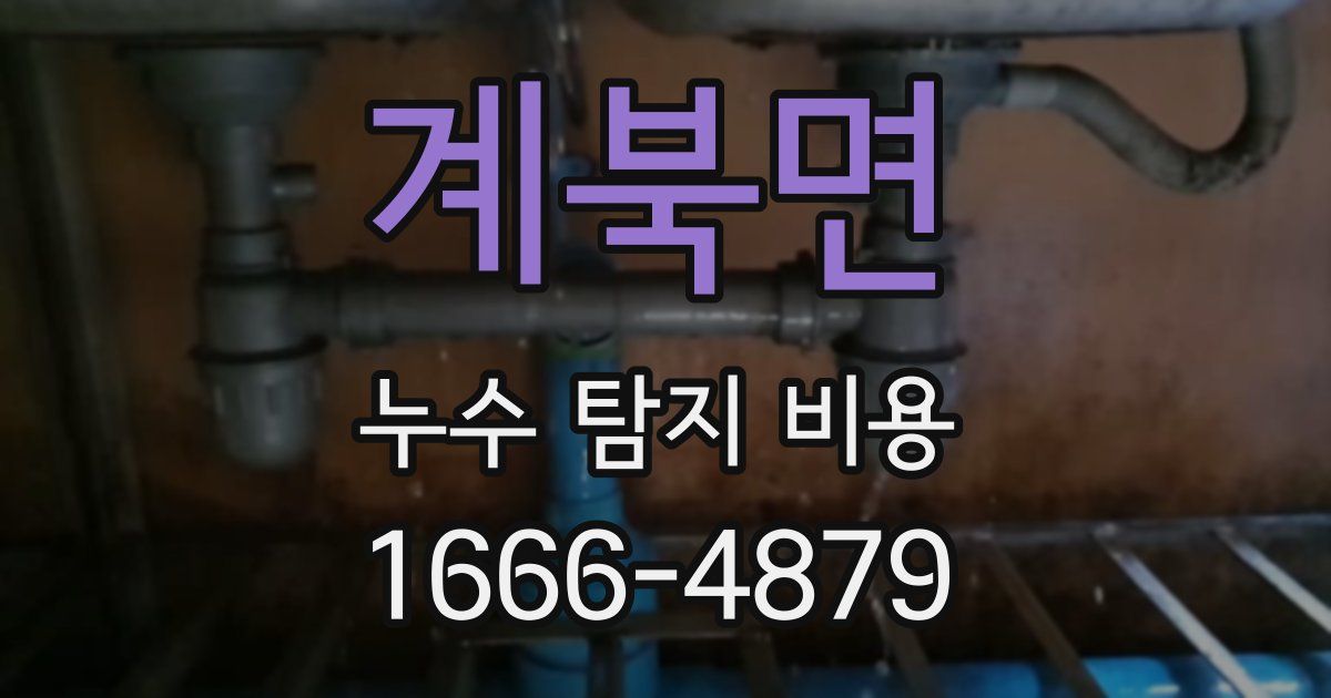 계북면 누수 탐지 비용