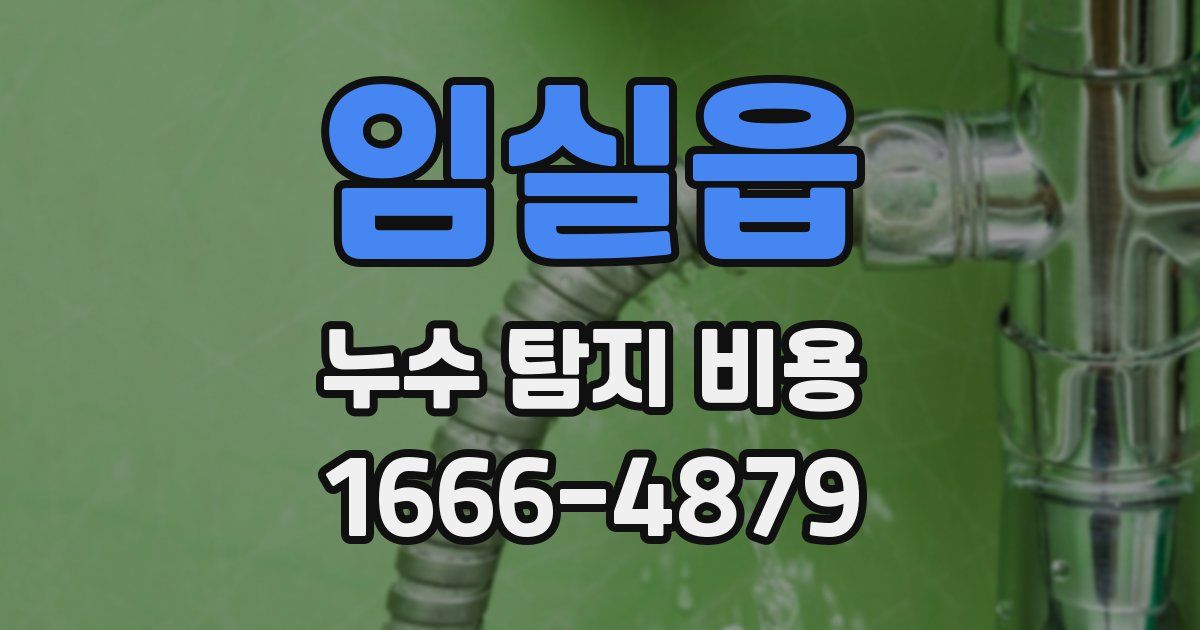 임실읍 누수 탐지 비용