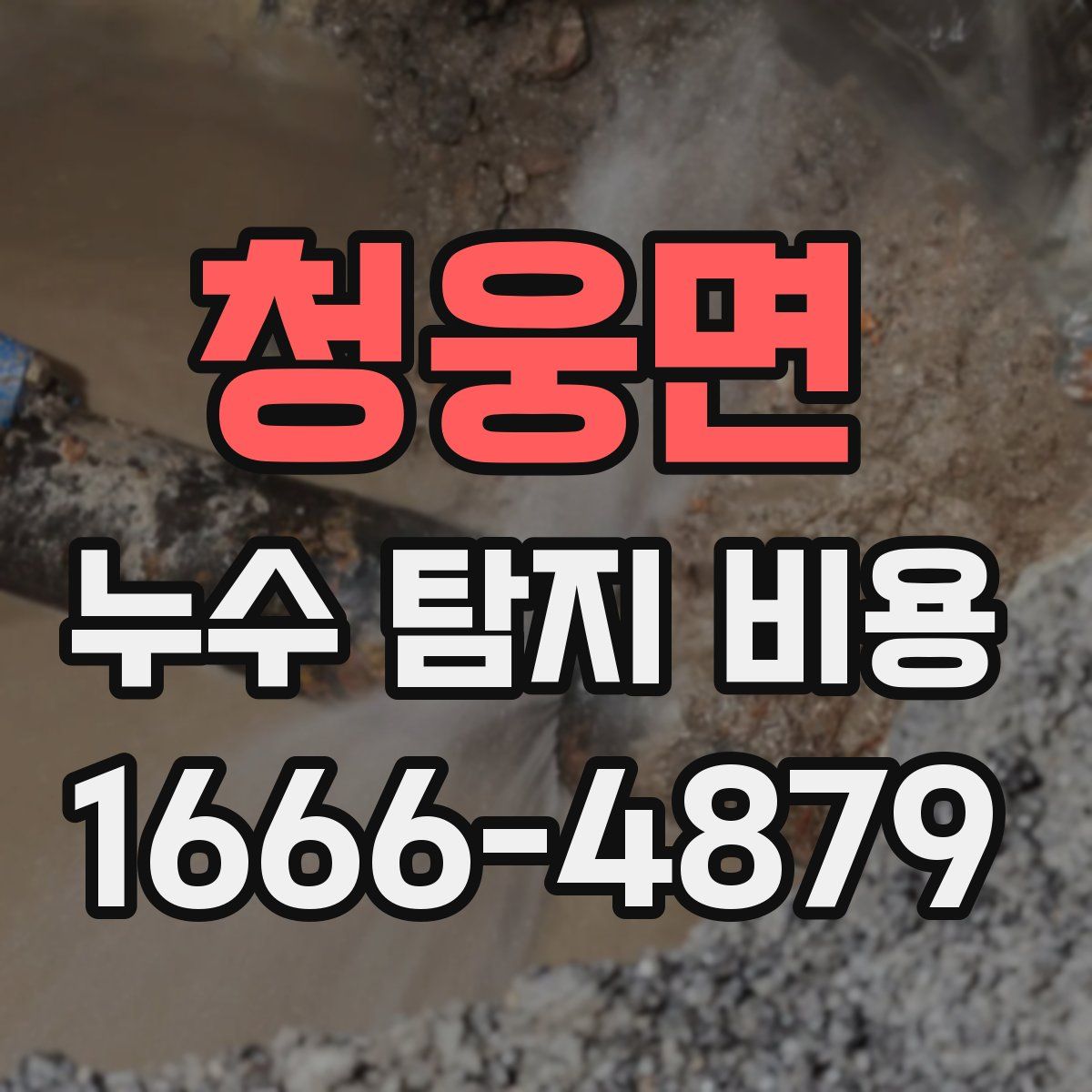 청웅면 누수 탐지 비용