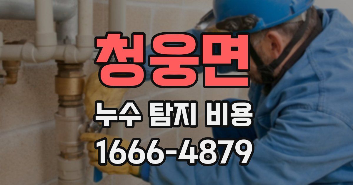 청웅면 누수 탐지 비용